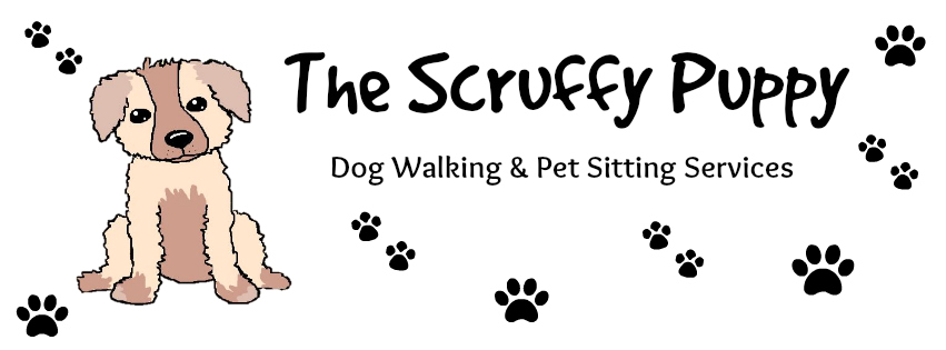 The Scruffy Puppy Banner Clear